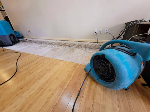 Professional Burst Pipe Water Damage technician working in La Verne, CA